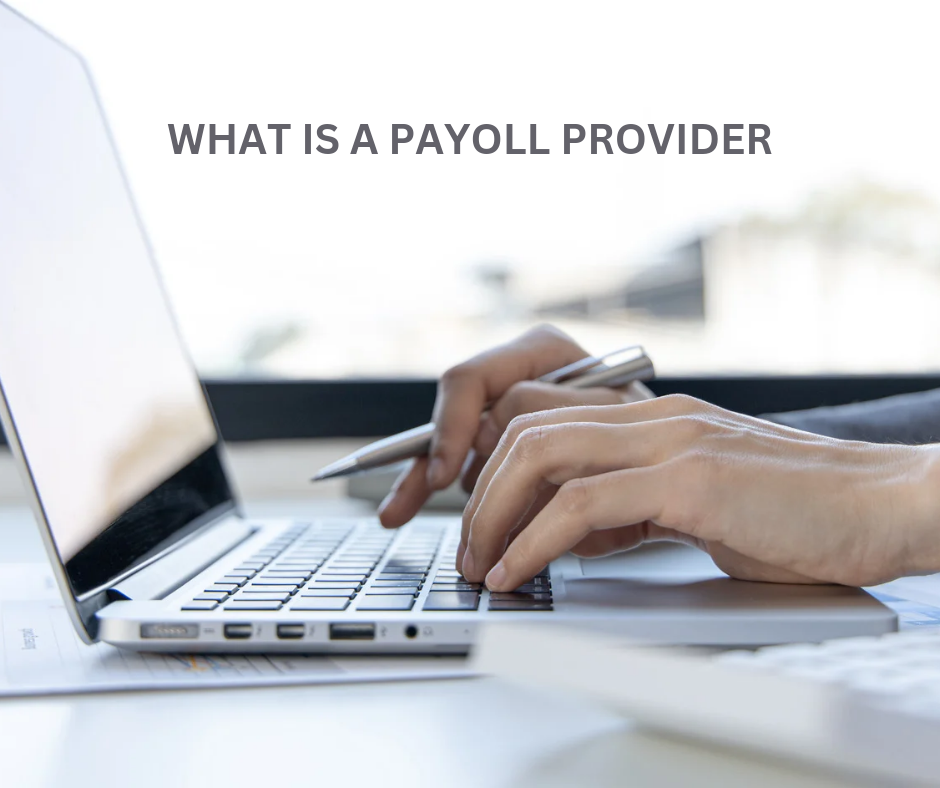 alt = "what is a payroll provider"
